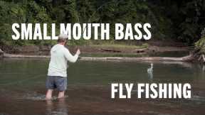 CREEK Fly Fishing for Smallmouth Bass | Top 5 TIPS