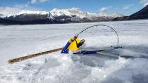 Lake trout swallow - Take a kid fishing - Canadian moutain man