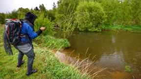 Epic Dry Fly Fishing Saves us From Being Skunked On a Rainy Day.
