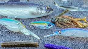 How To Catch Bass During The Fall To Winter Transition (Cold Water Baits)