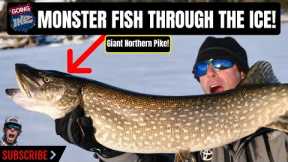 Monster Fish Through the Ice on Lake George!!