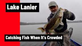 Lake Lanier Busy Weekend Fishing