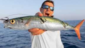 BIG Baits for Deep Sea GIANTS... Catch Clean Cook