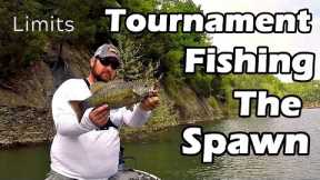 Tournament Fishing the Spawn - Cumberland Lake - Limits
