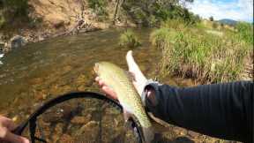 EPIC Session Fly Fishing an Australian River