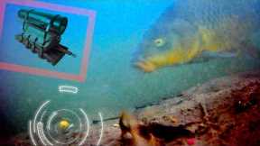 The moment a carp is caught was filmed with an underwater camera.【GoFish Cam】
