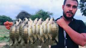 catching fish in lake -  cooking lake fish Recipe -  korali fish | Village Food Srilanka