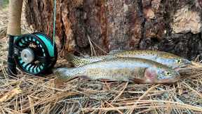 Fly Fishing for Cutthroat Trout + Catch & Cook