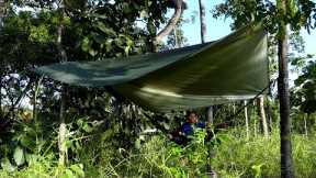 solo shelter camp in forest, Survival catch the fish and cook