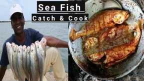 Sea Fish Catch and Cook | Colab with Kadal Raasa  | Johnius Glaucus Catching inshore