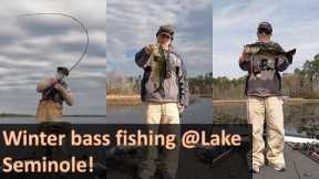 Winter Bass Fishing @Lake Seminole!