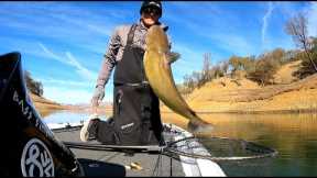 Lake Berryessa Fishing Report Nov 19-26th 2022