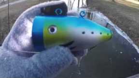 UnderWater Fish Camera : Fish Viewer