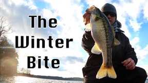 The Winter Bite Is On Fire! - Lake Lanier Bass Fishing