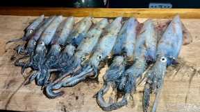Squid - How to catch, clean and cook Squid - Spargo's Kitchen Seafood | The Fish Locker