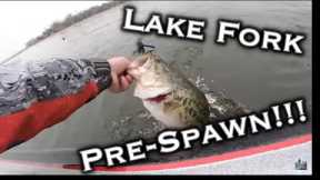 Lake Fork Winter Pre Spawn Bass Fishing February 2022! Giants on Black And Blue Jigs!!!