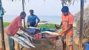 Amazing Eel Fish Cutting Skills l Fastest Fish Cutting In Village | Fish Cutting Skil Amazing Market