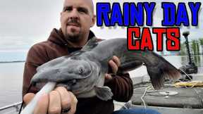 Fishing In The Rain - Big Channel Catfish Caught at Rend Lake