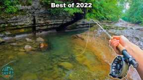 THE BEST FLY FISHING / TROUT FISHING VIDEO!! (Best of Compilation)