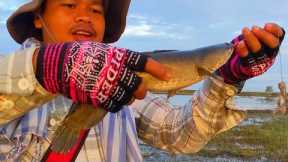 Three common snakeheads fish in 1 hour! how fish hit the bait!