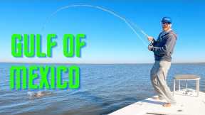 FLY FISHING the GULF of MEXICO