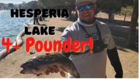 Hesperia Lake Trout Fishing 2022| trout stocking opener week |