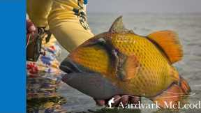Flat Out Strange - Fly Fishing For Trigger Fish In Sudan