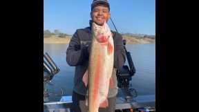 Log Becomes Personal Best Rainbow Trout, Lake Amador Trout Fishing 12/24/22