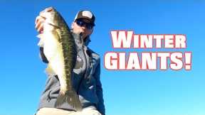 How to FIND and CATCH BIG Bass all early Winter! - Lake Lanier Spotted Bass