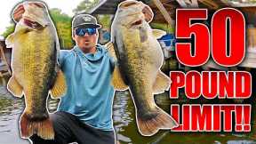BEST DAY EVER SWIMBAIT FISHING ON YOUTUBE!! (15 Bass OVER 7 Pounds)