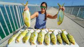 Catching PRIZED fish from BRIDGE!! Catch, Clean, & Cook! Florida Keys!