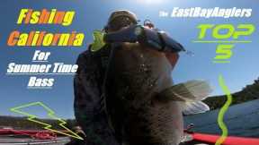 LAKE PARDEE California Bass Fishing / Top 5 Summer Bait's & Lure's