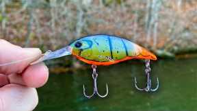 You DON'T Want to MISS this Lure for Winter Bass Fishing