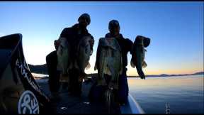 Clear Lake Fishing Report Novemeber 27 - December 1st