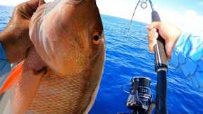 Catching Mutton snapper on the Islamorada Humps {Catch N Cook}