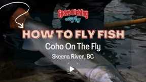 FLY FISHING: COHO ON THE FLY