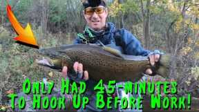 Fly Fishing Milwaukee River for Trout & Salmon Before Work | ONLY have 45 minutes!