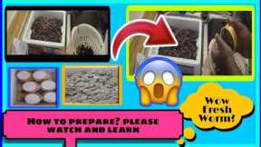TIPS HOW TO PREPARE FRESH WORMS HABITAT || WATCH & LEARN #shortvideos #shorts #tips #baits #review