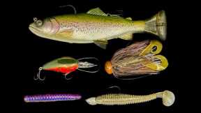 Top 5 Baits For December Bass Fishing!