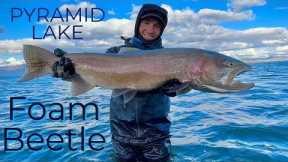 PYRAMID LAKE - Fly Fishing - 16 pound Cutthroat Trout!