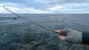 The Perfect Fishing Day to End the Year - Fly Fishing for Sea Trout