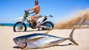 I BOUGHT A MOTORBIKE and went FISHING! Catch Clean Cook