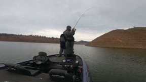 Bass fishing Lake McClure