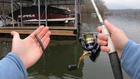 NED Rig Bass Fishing on Lake Lanier!