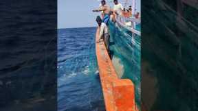 Tuna fish catching in nets  at deep sea #fishing#tuna #boat #okha