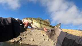 JIG FISHING | PINE FLAT LAKE | BANGBASS559