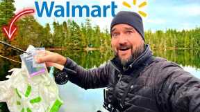 WALMART Budget Fly Fishing CHALLENGE!! (SURPRISING!)