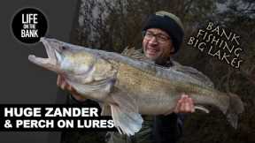HUGE ZANDER AND PERCH HUNT WITH LURES - Bank fishing massive lakes