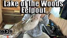 Eelpout Fishing is HOT at Lake of the Woods (Latest Fishing Report)