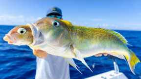 The HUNGRIEST Deep Sea Fish... Catch Clean Cook (Golden Tilefish)
